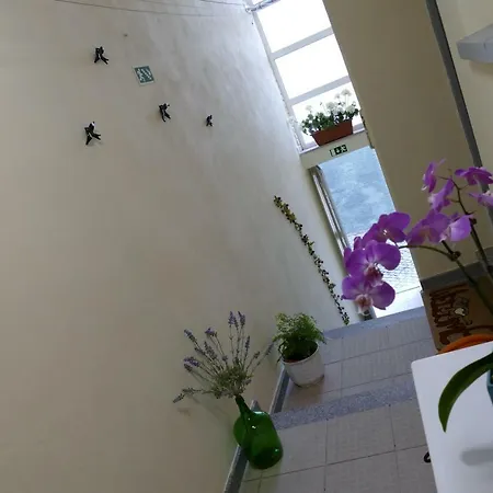 Tuacasa Apartment