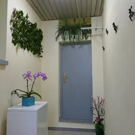 Tuacasa Apartment